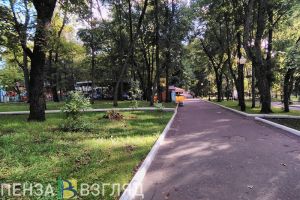 Стали известны полные результаты голосования за объекты благоустройства в Пензе