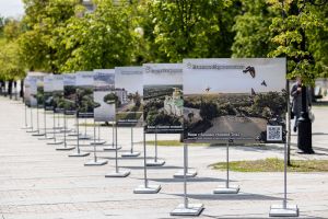 Фотопроект Tele2 приглашает путешествовать по Пензенской области