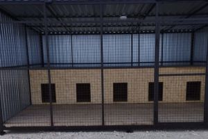 В Пензенском районе оценили ход строительства приюта для животных без владельцев