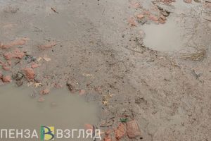 В «запущенном» селе под Пензой пожаловались на вонь от канализации