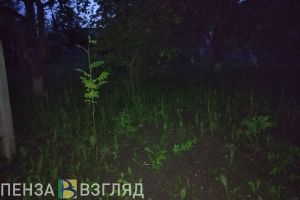 Пропавшая в Ульяновской области девочка, которую искали пензенцы, найдена мертвой