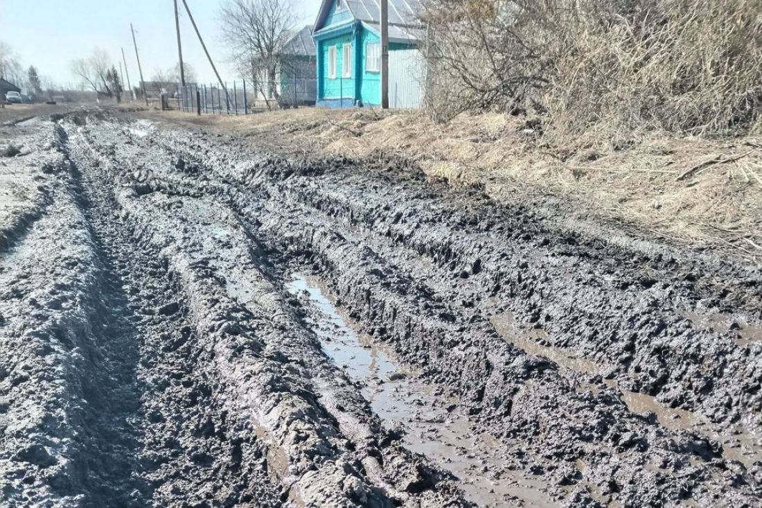 Житель Наровчатского района показал непроходимую сельскую дорогу