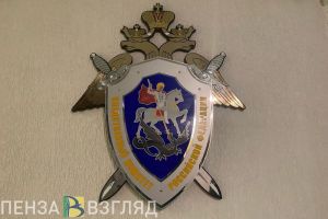 Глава пензенского СК поставил на контроль дело о преступлении против ребенка