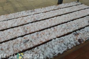 В Пензенской области завтра ожидается похолодание до -3 градусов