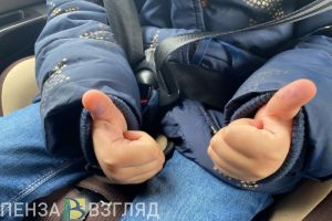 Массовые проверки водителей пройдут в Пензенской области 20 мая