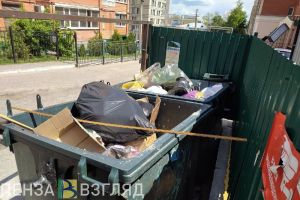 В Пензе продолжат устанавливать камеры на проблемные контейнерные площадки