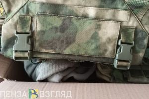 Златогорский попросил активизировать в Кузнецке сбор помощи фронту