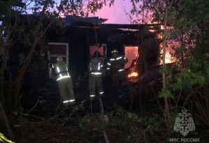 В Пензенской области за неделю потушили 46 пожаров