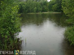 Пензенцам ответили на жалобы на засохшие деревья в экопарке «Ласточкино гнездо»