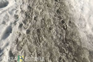 Зимой пензенский депутат сломал ногу из-за нечищенного тротуара