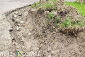 Пензенские власти рассмотрят возможность обустройства тротуара на улице Кулибина
