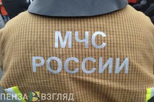 14 пожарных тушили огонь в квартире на улице Пролетарская, 10 в Пензе