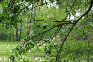 В выходные пензенцев ждут небольшие дожди