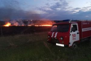 В Бессоновском районе на 4 гектарах загорелась сухая трава