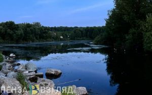 Отдыхала с друзьями: подробности трагедии с утонувшей девочкой в Кузнецком районе