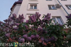 В ближайшие три дня температура в Пензенской области вырастет до +27 градусов