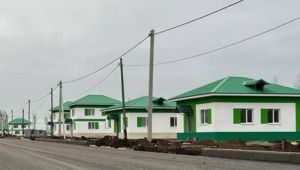 Развитие сельских территорий: в Зеленом Доле под Сердобском построят еще 2 дома