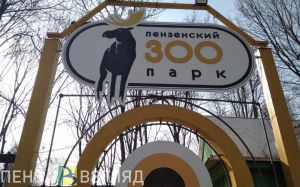 Смерть кузнечан из-за передозировки, частичное открытие Антонова-Измайлова, гепарды для зоопарка Пензы: новости Пензы и области за 28 мая