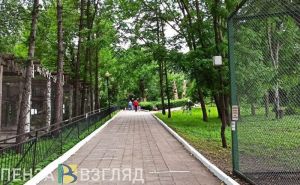Пензенский зоопарк приобрел двух гепардов за 6 млн рублей