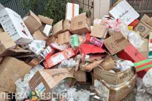 В Пензе планируют заменять мусорные баки на евроконтейнеры