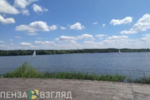 В Пензенской области полицейские спасли из воды 9-летнего ребенка