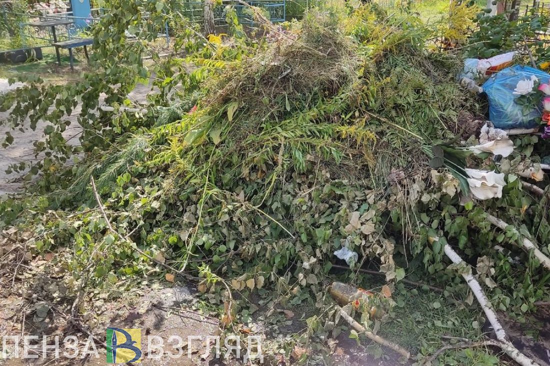 В ряде районов Пензенской области власти забыли об уборке кладбищ