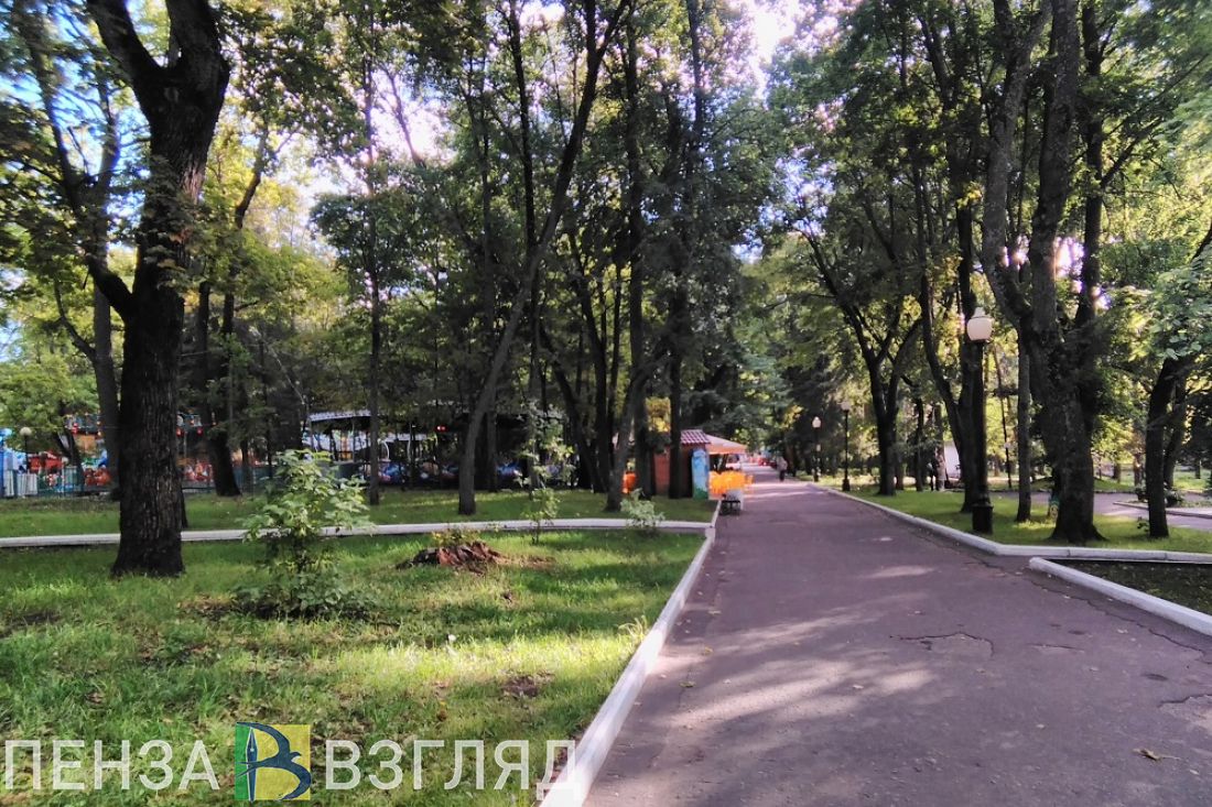 В Бессоновском районе при пожаре погибли трое