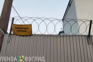 В Спасском районе мужчина угрожал убить сожительницу деревянной рейкой