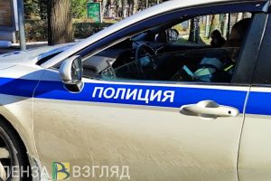В Каменке задержали мужчину, укравшего 340 кг рельсов