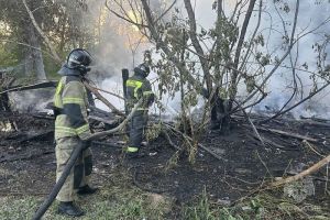 Причиной пожара на ул. Павлова, где сгорели надворные постройки, стал поджог пуха