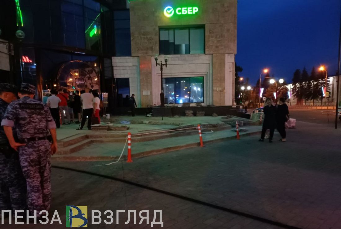 В пензенском зоопарке осваивается полярная волчица