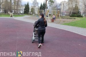 За год рождаемость в Пензенской области выросла на 2%
