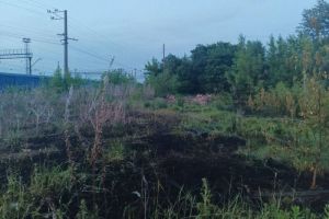 В Пензе из-за подожженного тополиного пуха загорелось поле
