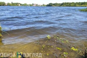 В Пензенской области примут меры по обеспечению безопасности на воде летом