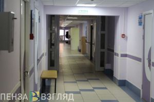 Пензенская область в топ-10 регионов с высокой заболеваемостью мышиной лихорадкой