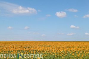 4 июня синоптики прогнозируют пензенцам 30-градусную жару