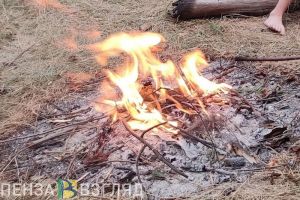 Пензенцев оштрафуют на сумму от 10 до 800 тысяч рублей за костры и поджог травы