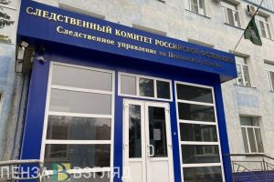 В Пензе устанавливают личность мужчины, напавшего на девушку на улице