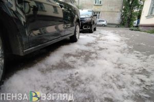 Пензенцам назвали правила, которые помогут избежать возгораний тополиного пуха