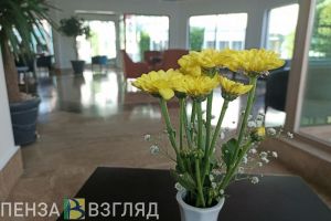 Пензенцев могут начать заселять в гостиницы по водительским правам