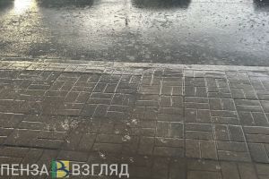 Ливни, гроза и мощный ветер: прогноз погоды для Пензенской области на 7 июня