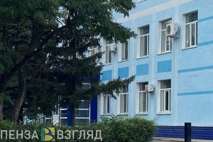 В Пензе задержали иностранца, подозреваемого в нападении на девушку