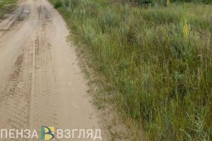 Губернатору пожаловались на плохие дороги к Сурскому водохранилищу