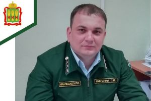 Никольское лесничество возглавит Сергей Никулин