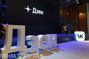 Главред «Пенза-Взгляд» принял участие во встрече с экспертами Дзен и ВКонтакте