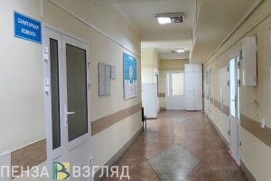 В Пензенской области за неделю от ковида умерли два человека