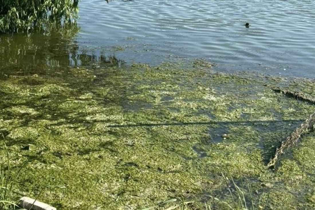 В Пензенском районе организована проверка после обнаружения тела мужчины в  водоеме