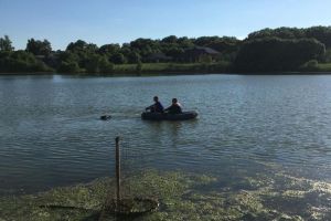 В пруду под Пензой обнаружено тело мужчины