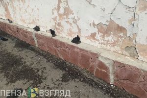 +32 градуса. Пензенцев предупредили об ухудшении погодных условий