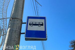 Пензенцы узнали о новых штрафах, которые утвердил Путин